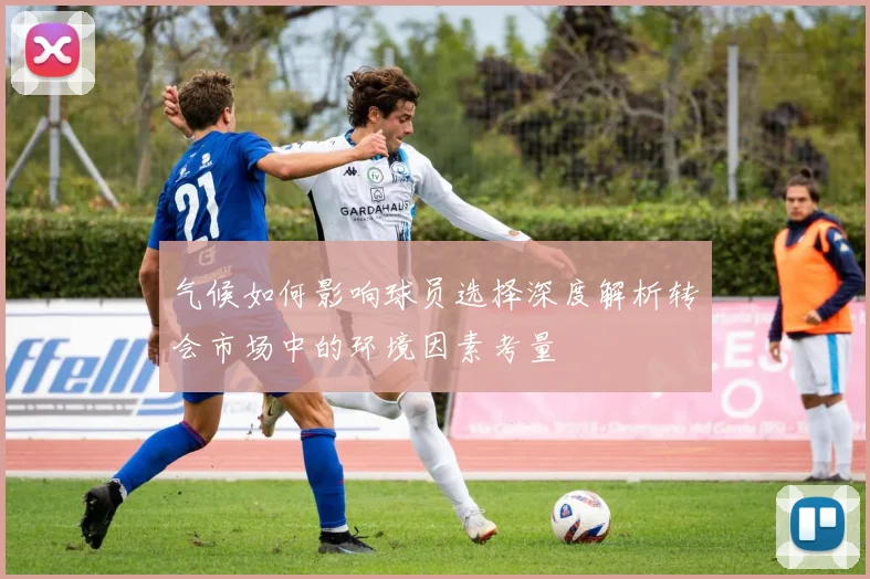 气候如何影响球员选择深度解析转会市场中的环境因素考量