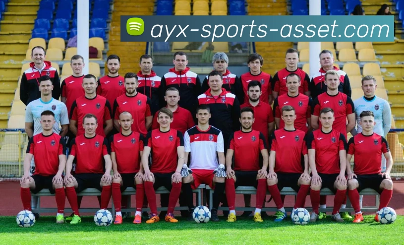 爱游戏体育平台生态图